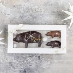 Piggy family